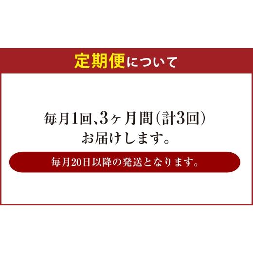 ふるさと納税 ビール 茨城県 守谷市  3ヶ月定期便 アサヒ ザ・リッチ（合計72本）500ml×毎月1ケース（24本）=計3回お届け | アサヒビール 酒 お酒 ザ・リッチ…の画像