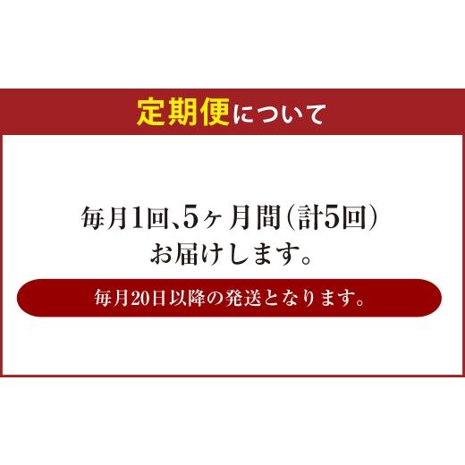 ふるさと納税 ビール 茨城県 守谷市  5ヶ月定期便 アサヒ ザ・リッチ（合計120本）500ml×毎月1ケース（24本）=計5回お届け | アサヒビール 酒 お酒 ザ・リッ…の画像