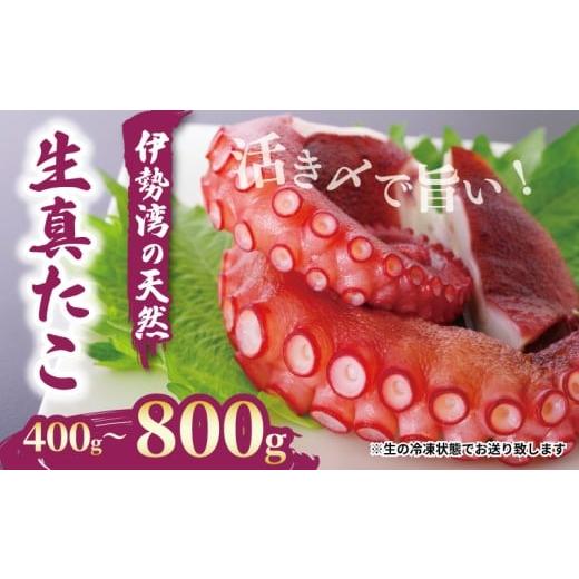 ふるさと納税 タコ 愛知県 南知多町 南知多産 活〆生真ダコ 800g 2匹 まると水産 800g(2匹):20000円