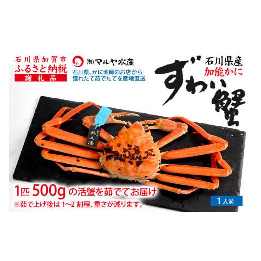 ふるさと納税 カニ ずわいガニ 石川県 加賀市 1月20日〜3月31日発送 先行予約 冷蔵発送 石川県産 加能かに ズワイガニ ( 産地証明タグ付 ) 茹で上げ前重量 約…