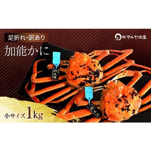 ふるさと納税 カニ ずわいガニ 石川県 加賀市 石川県産 加能かに ズワイガニ ( 産地証明タグ付 ) 訳あり 足折れ 小サイズ 2〜3匹 合計1.0kg 12月16日〜12月26…