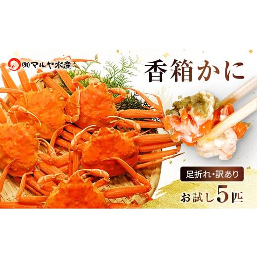 ふるさと納税 カニ ずわいガニ 石川県 加賀市 石川県産 香箱蟹 せいこ 訳あり 小さめ 5匹 詰合せ 12月16日〜12月26日発送 F6P-2773 12月16日〜12月26日発送