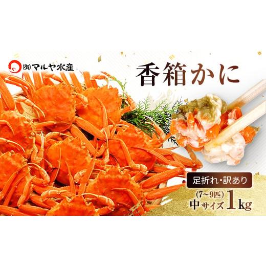 ふるさと納税 カニ ずわいガニ 石川県 加賀市 石川県産 香箱蟹 せいこ 訳あり 中サイズ 1kg 7〜9匹 詰合せ 11月10日〜12月15日発送 F6P-2776 11月10日〜12月15…