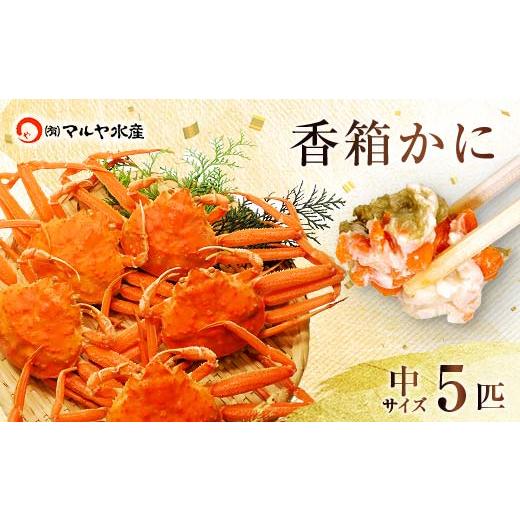 ふるさと納税 カニ ずわいガニ 石川県 加賀市 石川県産 香箱蟹 せいこ 中サイズ 5匹 詰合せ 12月16日〜12月26日発送 F6P-2771 12月16日〜12月26日発送