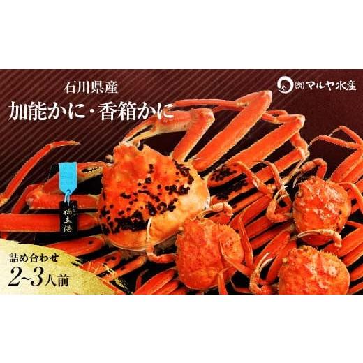 ふるさと納税 カニ ずわいガニ 石川県 加賀市 石川県産 加能かに/ズワイガニ ( 産地証明タグ付 ) 大サイズ 1匹 + 香箱かに 3匹 詰合せ ( 2〜3人前 ) 12月16日…