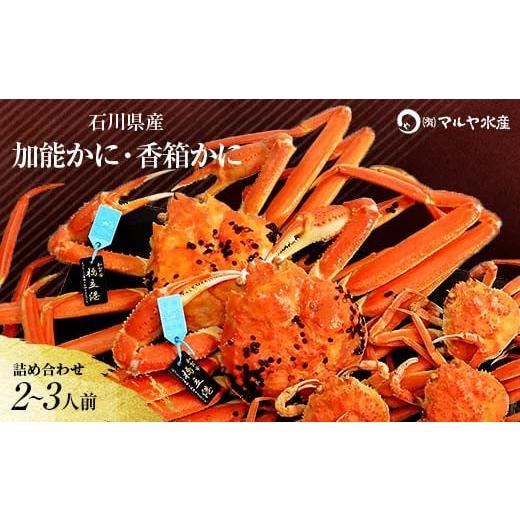 ふるさと納税 カニ ずわいガニ 石川県 加賀市 石川県産 加能かに ズワイガニ ( 産地証明タグ付 ) 中サイズ 2匹 + 香箱かに 3匹 詰合せ ( 2〜3人前 ) 11月10日…