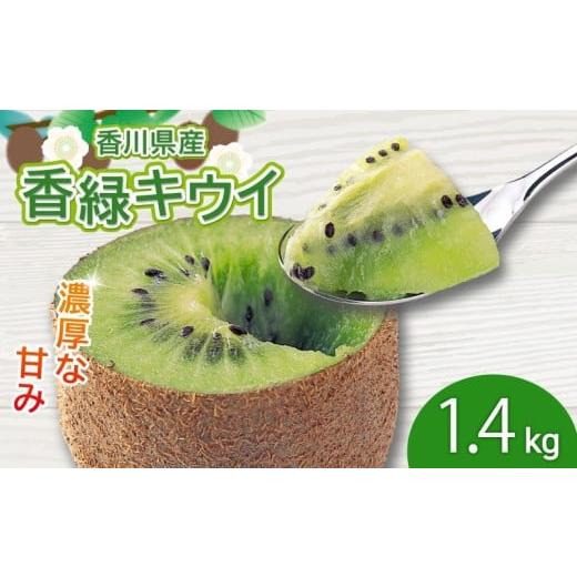 ふるさと納税 果物類 香川県 丸亀市 濃厚な甘み 香緑キウイ 約1.4kg 香川県産 香緑 キウイ キウイフルーツ 果物 ふるさと納税キウイ 香川県 丸亀市 約1.4kg 寄…