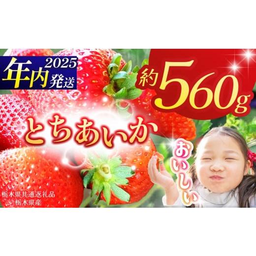 ふるさと納税 いちご 栃木県 那珂川町 栃木県共通返礼品 2025年先行予約 とちあいか 280g×2P| 年内発送 果物 くだもの フルーツ 野菜 やさい ヤサイ 苺 イチ…