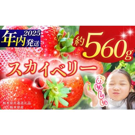 ふるさと納税 いちご 栃木県 那珂川町 栃木県共通返礼品 2025年先行予約 スカイベリー 280g×2P| 年内発送 果物 くだもの フルーツ 野菜 やさい ヤサイ 苺 イ…