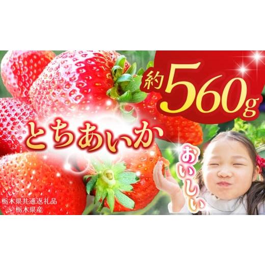 ふるさと納税 いちご 栃木県 那珂川町 栃木県共通返礼品 2026年先行予約 とちあいか 280g×2P| 年始発送 果物 くだもの フルーツ 野菜 やさい ヤサイ 苺 イチ…