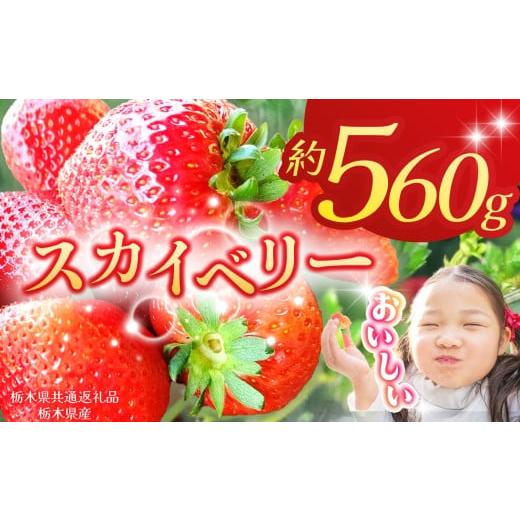 ふるさと納税 いちご 栃木県 那珂川町 栃木県共通返礼品 2026年先行予約 スカイベリー 280g×2P| 年始発送 果物 くだもの フルーツ 野菜 やさい ヤサイ 苺 イ…