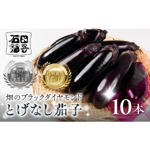 ふるさと納税 野菜類 茄子 愛知県 豊橋市 先行予約 とげなし茄子 10本 ナス 茄子 なす なすび 野菜 旬 旬の野菜 糖度 石田茄子 トゲなし とげなし お取り寄…