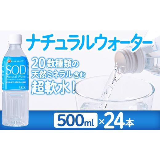 ふるさと納税 水・ミネラルウォーター 大分県 佐伯市 ナチュラル ウォーター SOD 500ml (計24本) 国産 鉱泉水 お水 ミネラル ドリンク 大自然 天然 料理 健康 …