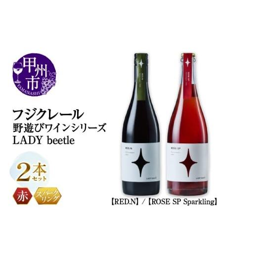 ふるさと納税 ワイン セット 山梨県 甲州市 フジクレール 野遊びワイン LADY beetle RED.N ROSE SP Sparkling 2本セット(MG)C4-655 B