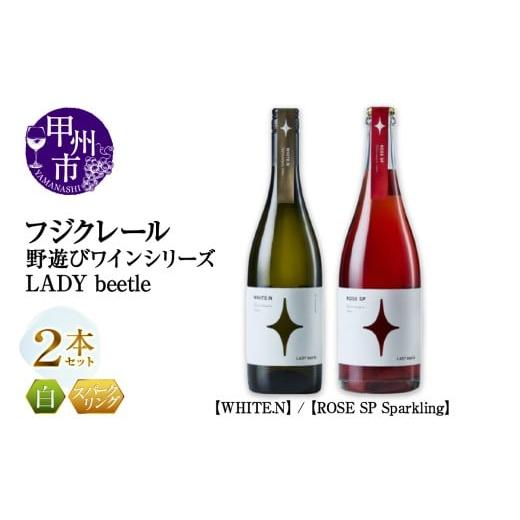 ふるさと納税 ワイン セット 山梨県 甲州市 フジクレール 野遊びワイン LADY beetle WHITE.N ROSE SP Sparkling 2本セット(MG)C4-653 D