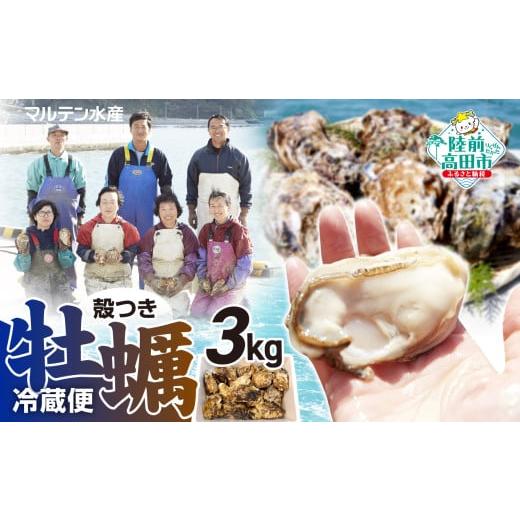 ふるさと納税 牡蠣 生牡蠣 岩手県 陸前高田市 12月前半発送 訳あり・数量限定 生食用 殻付き牡蠣 約3kg 天然 牡蠣 かき カキ 殻付き 生食 真牡蠣 冷蔵 国産 …