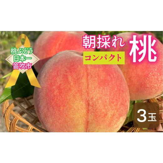 ふるさと納税 もも 山梨県 笛吹市 2026年発送 先行予約 コンパクト 笛吹市産 朝採れ桃3玉 先行予約 先行 予約 桃 もも 新鮮 人気 くだもの 果物 フルーツ 山…