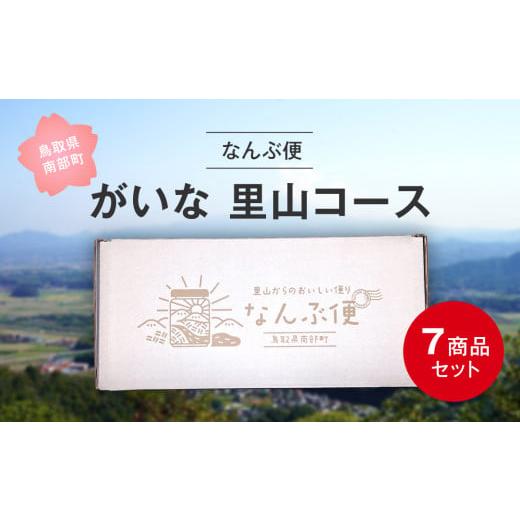 ふるさと納税 加工品等 鳥取県 南部町 NK06 南部町特産品の詰め合わせ 「なんぶ便」 がいな里山コース 7品目 南部町観光協会 ケチャップ(380g×1個)、はちみ…