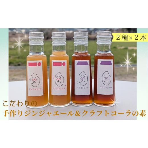 ふるさと納税 果汁飲料 セット 山口県 平生町 こだわりの手作りジンジャエール&クラフトコーラの素 各2本セット ah-14 ジンジャーエール クラフトコーラ コ…