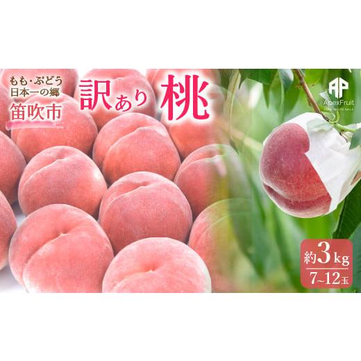 ふるさと納税 もも 山梨県 笛吹市 2026年発送 先行予約 笛吹市産 訳あり桃 約3kg(7〜12玉) 205-003-26y 2026年発送