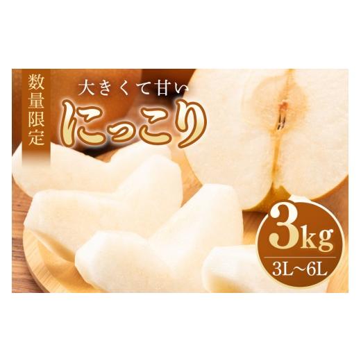 ふるさと納税 梨 茨城県 小美玉市 数量限定・先行予約 梨 にっこり 3kg 3L〜6L 5〜8玉 なし ナシ 果物 フルーツ 国産 9月20日以降発送予定 70-N 3kg