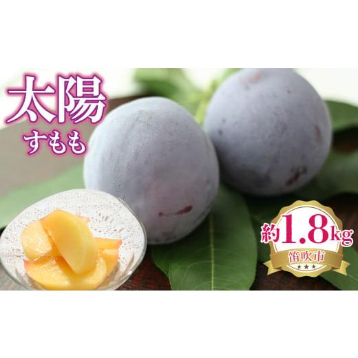 ふるさと納税 果物類 山梨県 笛吹市 2026年発送 先行予約 太陽(すもも) 約1.8kg 222-003-26y 2026年発送