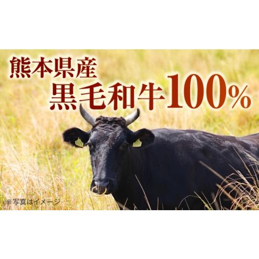 ふるさと納税 惣菜・レトルト 冷凍 熊本県 菊陽町  全3回定期便 熊本県産 こだわり炒飯 大人の黒毛和牛 炒飯 230g×20袋 合計4.6kg 冷凍食品 チャーハン 熊本…_5