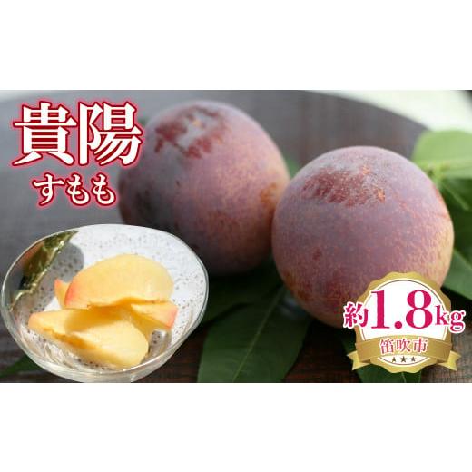 ふるさと納税 果物類 山梨県 笛吹市 2026年発送 先行予約 貴陽(すもも) 約1.8kg 222-004-26y 2026年発送