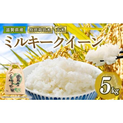 ふるさと納税 米 ミルキークイーン 滋賀県 竜王町 新米予約 特別栽培米 ミルキークイーン 米 5kg 玄米 2025年産 滋賀県 竜王町 令和7年産 国産 農家直送 みる…