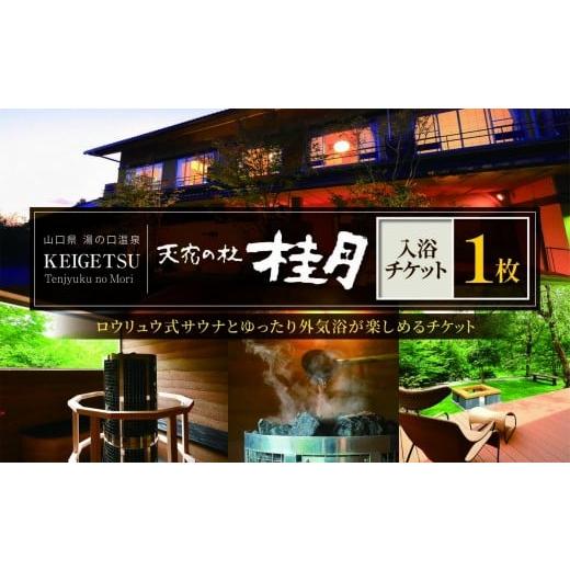 ふるさと納税 イベントやチケット等 山口県 美祢市 天宿の杜 桂月 入浴 チケット 1枚| サウナ 入浴 チケット 旅館 湯の口 温泉 部屋風呂 露天風呂 サウナ ロ…
