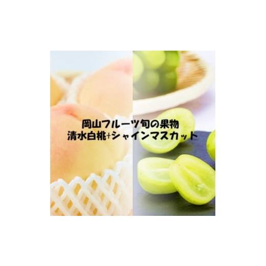 ふるさと納税 もも 岡山県 美作市 発送月固定定期便 2026年先行予約 岡山フルーツ旬の果物 清水白桃+シャインマスカット全2回 4069071