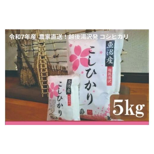 ふるさと納税 米 コシヒカリ 新潟県 湯沢町 令和7年産 白米5kg 農家直送 越後湯沢発 さくらファーム 南魚沼最上流域 湯沢産コシヒカリ