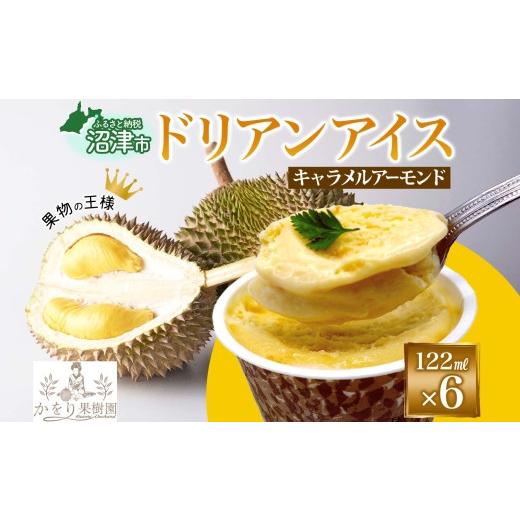 ふるさと納税 菓子 アイス 静岡県 沼津市 ドリアン ココナッツ キャラメルアーモンド アイスクリーム 122ml 6個 濃厚 ココナッツミルク スイーツ お菓子 ソフ…