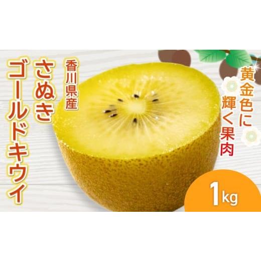 ふるさと納税 果物類 香川県 丸亀市 さぬきゴールドキウイ 選べる 約1kg 先行予約 キウイ 果物 フルーツ ゴールド 香川県 丸亀市 約1kg 寄附額:7,000円