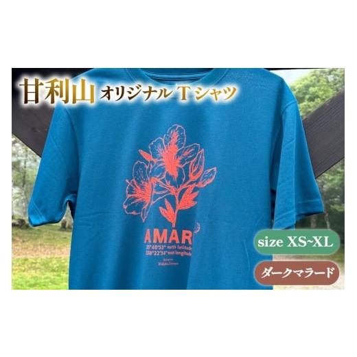 ふるさと納税 服 男 山梨県 韮崎市 甘利山オリジナルTシャツ (ダークマラード) XL 1枚 Tシャツ 登山 アウトドア シルクスクリーン 甘利山 モンベル 甘利山グリ…