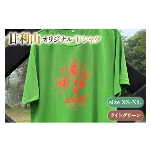 ふるさと納税 服 男 山梨県 韮崎市 甘利山オリジナルTシャツ (ライト