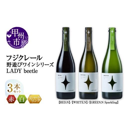 ふるさと納税 ワイン セット 山梨県 甲州市 フジクレール 野遊びワイン LADY beetle RED.N WHITE.N GREEN.N Sparkling 3本セット(MG)D5-633 A
