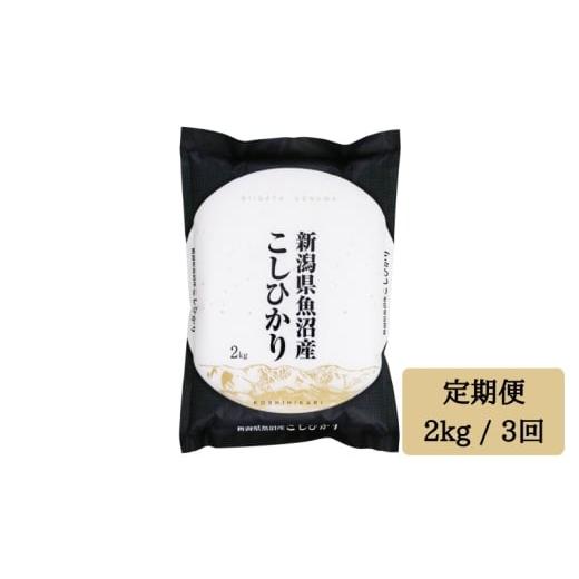 ふるさと納税 米 コシヒカリ 新潟県 湯沢町 令和7年産 白米 2kg/3回定期便 「雪蔵仕込み」 湯沢産コシヒカリ