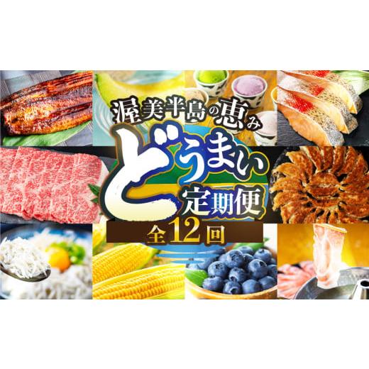 ふるさと納税 うなぎ 愛知県 田原市 渥美半島の恵み 定期便 12回 旬のおまかせコース 肉 海鮮 農産物 ( うなぎ / ブランド豚 / メロン / しらす/ 餃子 / …