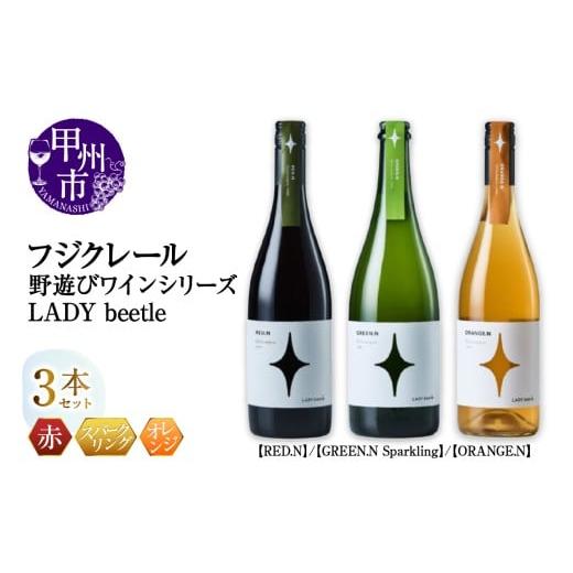 ふるさと納税 ワイン セット 山梨県 甲州市 フジクレール 野遊びワイン LADY beetle RED.N GREEN.N Sparkling ORANGE.N 3本セット(MG)D6-652 A