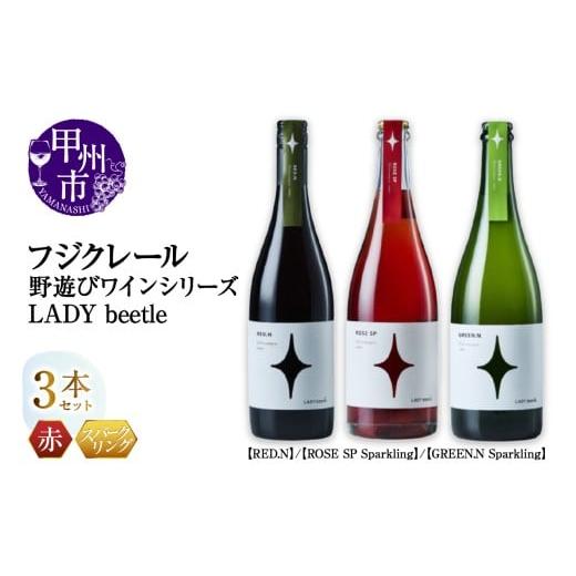 ふるさと納税 ワイン セット 山梨県 甲州市 フジクレール 野遊びワイン LADY beetle RED.N ROSE SP Sparkling GREEN.N Sparkling 3本セット(MG)D6-653 B