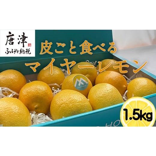 ふるさと納税 みかん・柑橘類 レモン 佐賀県 唐津市 『先行予約』 令和8年11月より順次発送 皮ごと食べる マイヤーレモン 1.5kg 唐津産 柑橘 レモン れもん 檸…