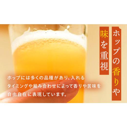 ふるさと納税 ビール 地ビール 宮崎県 宮崎市 おまかせMIX6缶 6ヶ月定期便セット_M368-T001-03 98,000円 定期便全6回の画像