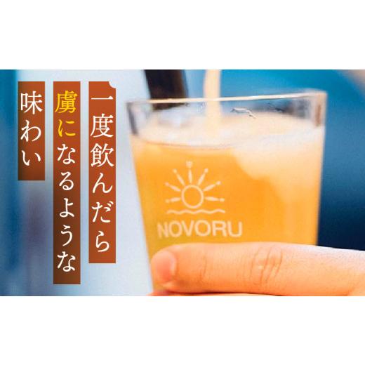 ふるさと納税 ビール 地ビール 宮崎県 宮崎市 おまかせMIX6缶 6ヶ月定期便セット_M368-T001-03 98,000円 定期便全6回の画像