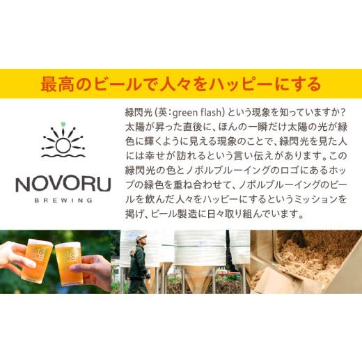 ふるさと納税 ビール 地ビール 宮崎県 宮崎市 おまかせMIX6缶 6ヶ月定期便セット_M368-T001-03 98,000円 定期便全6回の画像