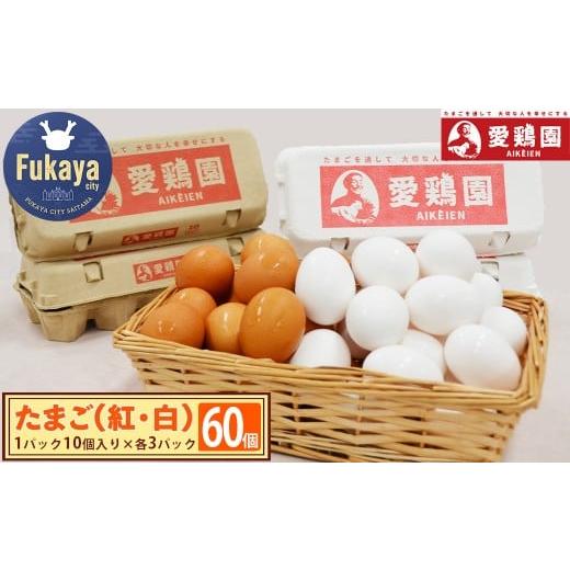 ふるさと納税 卵(鶏、烏骨鶏等) 埼玉県 深谷市 愛鶏園 紅白たまご60個