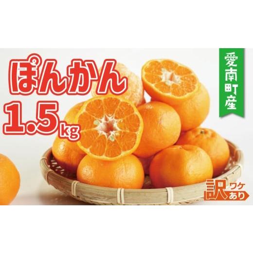 ふるさと納税 みかん・柑橘類 愛媛県 愛南町 お試し用 訳あり ポンカン 1.5kg 5000円 みかん mikan 蜜柑 ミカン ぽんかん 産地直送 国産 農家直送 糖度 期間限…
