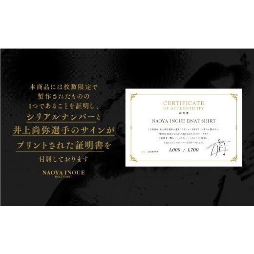 ふるさと納税 服 神奈川県 横浜市 選べるサイズ NAOYA INOUE DNA T
