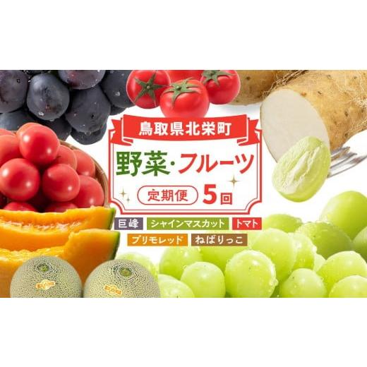 ふるさと納税 果物類 鳥取県 北栄町 1015. 先行予約 2026年8月以降発送 鳥取県北栄町から旬の美味しさをお届け 特産づくし 5回定期便 （巨峰・シャインマスカ…_1