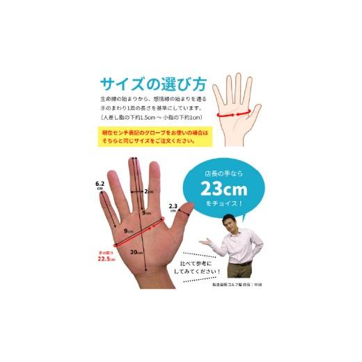 ふるさと納税 ゴルフグッズ クラブ 大阪府 東大阪市 LAROUGE（ラルージュ）オールウェザーゴルフグローブ：４枚セット　〈右手用（左打ち）サイズ：24cm〉 - …_6